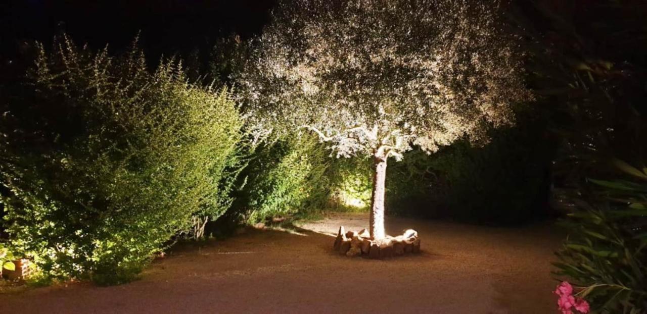 "Sa Domo De Sos Aranzos" Villa Santa Maria la Palma Eksteriør billede