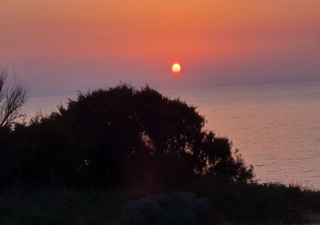 "Sa Domo De Sos Aranzos" Villa Santa Maria la Palma Eksteriør billede