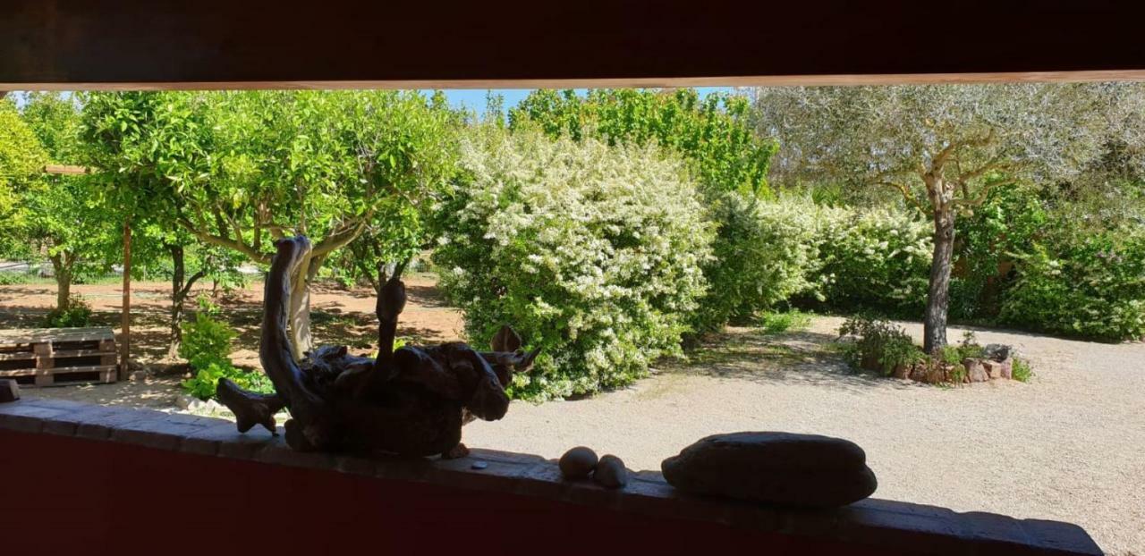 "Sa Domo De Sos Aranzos" Villa Santa Maria la Palma Eksteriør billede